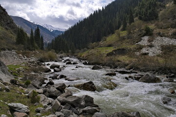 Fototapeta premium Kyrgyzstan, the eastern shore of Lake Issyk-Kul. View of the rocky Arashan River among the mossy rocks of the overgrown gorge.