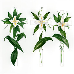 Yellow Lily of the Valley Flower and Leaves on White Background