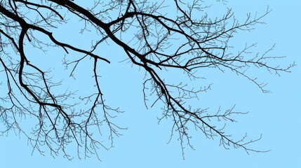 Original shape tree branches against a blue sky