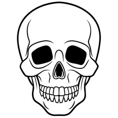 Skull black outline vector illustration 
