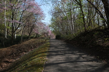 石山緑地の四季