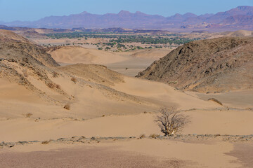 Wilderness and wild landscape of the Namib Desert in Namibia, Africa