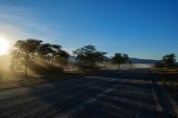 Fototapeta premium wilderness of the Namib desert, Namibia Africa 