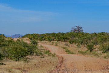 wilderness of the Namib desert, Namibia Africa	