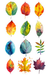 Obraz premium Watercolor illustrations of colorful leaves