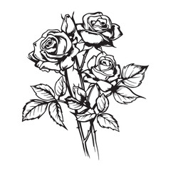 Obraz premium Drawing of roses bouquet, black vector illustration on white background