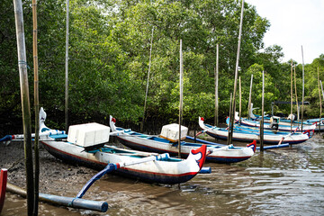 Obraz premium Traditional fishing boats docked in mangrove area