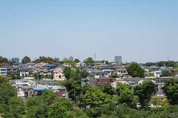 多摩湖の湖岸から見る東村山の市街地