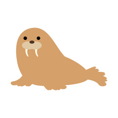 セイウチ