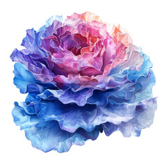 Obraz premium Watercolor and painting colorful fresh cabbage vegetable 