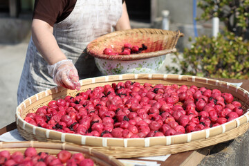 umeboshi japanese plum