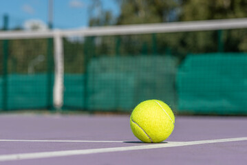 tennis ball on the net