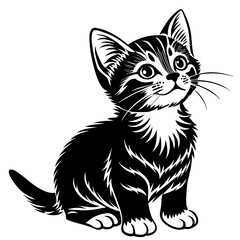 Obraz premium the kitten marvels vector silhouette illustration