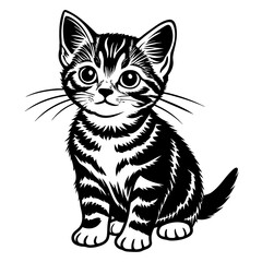 the kitten marvels  vector silhouette illustration