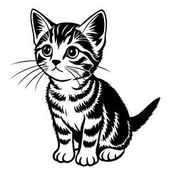 the kitten marvels  vector silhouette illustration