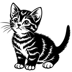 the kitten marvels  vector silhouette illustration