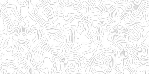 Vector pattern contour map. Topography map background. Black and white wave Seamless line. Topography relief. White wave paper curve reliefs abstract. Topographic map patterns, topography line map.