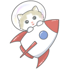 Rocket with cat