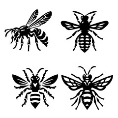 hornet silhouette on white background