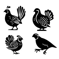 Quail silhouette on white background