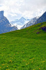 Fototapeta premium Der Säntis im Apsteingebirge, Kanton Appenzell Innerrhoden (Schweiz)
