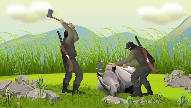 hunters cutting horn of one horn rhino from kaziranga national park of assam. 