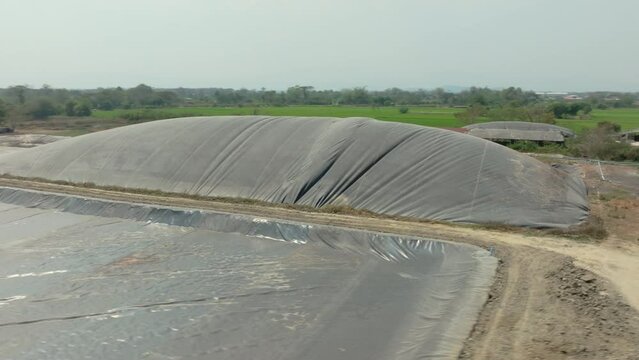 Covered lagoon digester for biogas production from poultry farm.