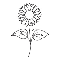 Sketches, hand drawn sunflower, line art. Vector illustration
