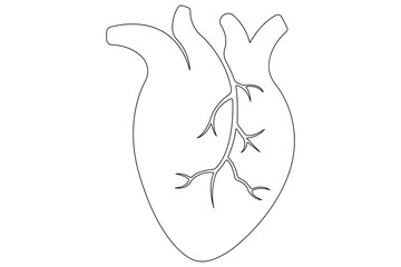 Continuous one line of human heart drawing Anatomical heart outline vector illustration