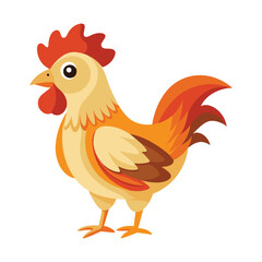 chicken isolated on white background