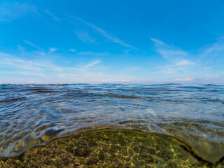 美しい岩礁の半水面撮影。
水平線に遠く富士山が見えている。

日本国神奈川県三浦市荒井浜。
2024年6月撮影。

A half-water shot of a beautiful reef.
Mt. Fuji in the distance on the horizon.

Araihama Beach, Miura, Kanagawa, Japan - Jun 8, 2024.
