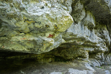 Felsen am Premiumwanderweg Hohenwittlingensteig; Biosphärengebiet Schwäbische Alb; Baden Württemberg; Deutschland;