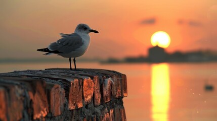 Pigeons perched on the wall