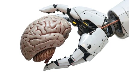 A Robot's hand holds brain learning of artificial intelligence technology