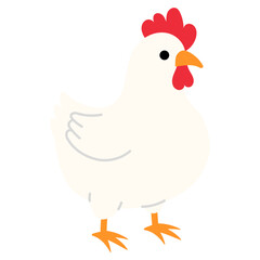 cute white chicken illustration