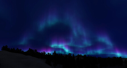 Fototapete bei efototapeten.de bestellen   