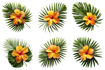 Set of Summer Tropical Decor isolated on transparent png background. Generative ai