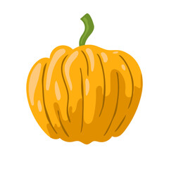 Bright Orange Pumpkin Vector Illustration