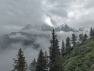 Beautiful trees and mountain views during the hike of the Tour du Mount Blanc. 