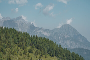Beautiful trees and mountain views during the hike of the Tour du Mount Blanc. 