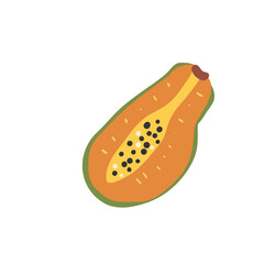 Papaya isolated on white background. Exotic sweet dessert. Half ripe tropical papaya fruit. Vector hand drawn illustration.