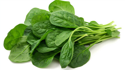 Fototapeta premium fresh spinach leaves
