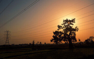 majestic view of rural agricultural landscape during sunset, with last rays of setting sun creating a golden moment. Photo taken in Baghmundi, Purulia, West Bengal.