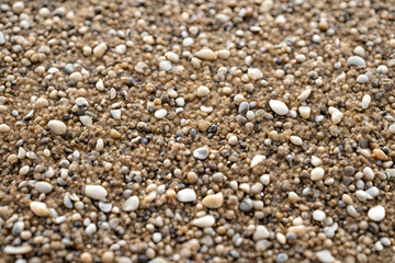 Beach pebbles close-up, sandy shore texture, mixed small stones, natural seaside background, coastal pebble surface, tranquil beach detail