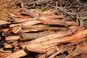Pile of split wooden logs to be used as firewood. Photo taken in Baghmundi, Purulia. Can be used as concept of environmental destruction.