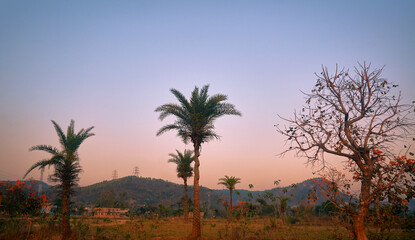 Obraz premium beauty of rural nature and rustic wilderness in Purulia, West Bengal. Lush greenery with verdant hills make the place a favourite for nature lovers. Photo taken during an autumn evening.