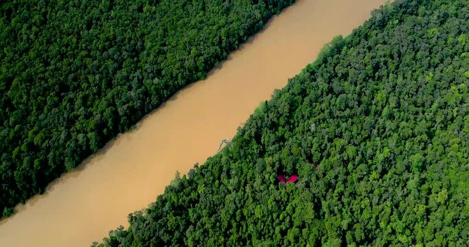 A drone glides above a winding river cutting through the heart of a dense jungle, capturing the scene in all its natural splendor. The river's crystal-clear waters shimmer as they weave through the lu