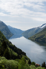 Fjord Panorama