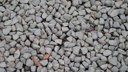 Close up view of small gray gravel stones scattered on the ground with a few dried leaves and pine needles, creating a textured and natural background in an outdoor setting.