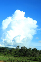 Cloudscape - Blue sky and white clouds, wide panorama